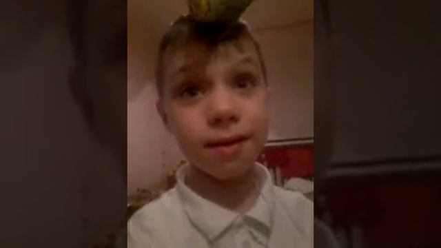 Моча диназафра смотреть онлайн