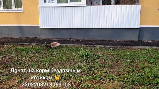 29 апреля 2024 г..mp4 смотреть онлайн