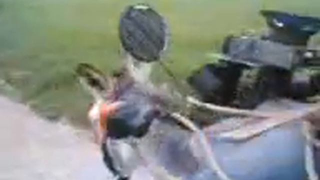 чеченский бумер.3gp смотреть онлайн