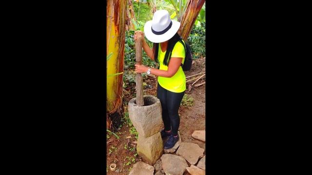 MOUNTAINS JARDIN ANTIOQUIA COLOMBIA смотреть онлайн