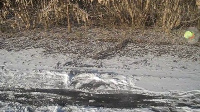 Прикол на льду) смотреть онлайн