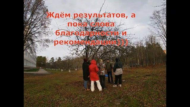 Мастер класс Обрезка плодового сада Сосновый бор Ленинградская область смотреть онлайн