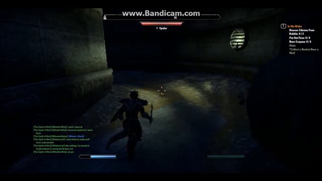 ELDER SCROLLS ONLINE Gameplay