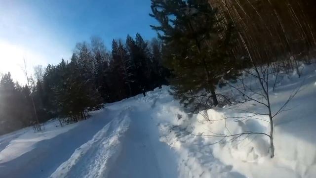 квадроциклы в лесу Quad Biking смотреть онлайн