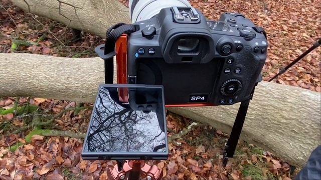 Canon R5 Review. Should I upgrade to the R5? Landscape Photography смотреть онлайн