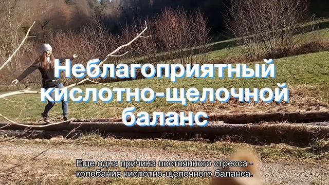 Стресс и здоровье аквариумных рыб смотреть онлайн