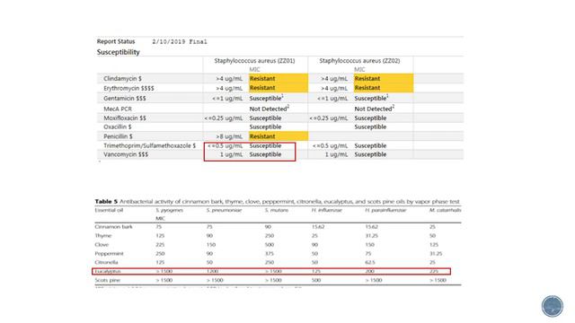 Herbs and Oils: Applications in CF - Dr. Russell Wise смотреть онлайн