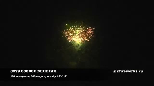 ОСОБОЕ МНЕНИЕ С079 смотреть онлайн