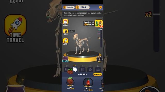 DOG /IDLE ANIMALS! смотреть онлайн