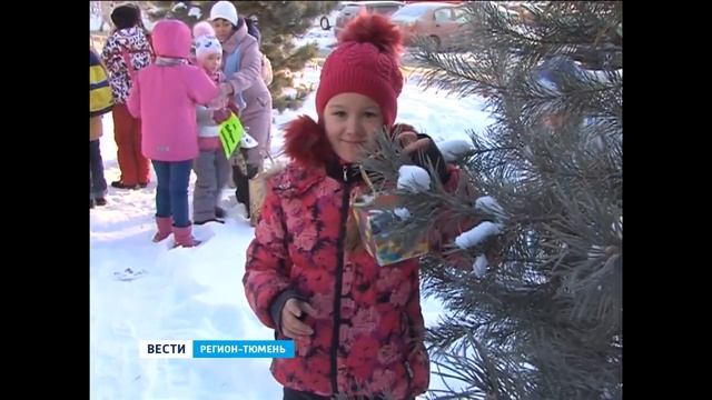 Тюменские школьники развесили кормушки для птиц смотреть онлайн