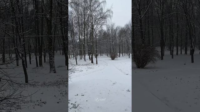 Взгляд (С. Логинов) смотреть онлайн