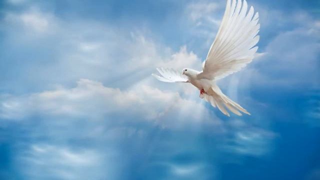 "Монолог (Реквием)"Муз. - М.Минков, сл. - М.Цветаева, исп. - Ирина Ручкова. смотреть онлайн