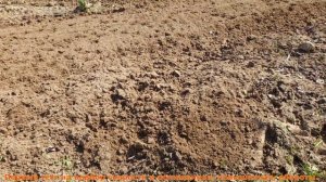 Почвофреза Kerland  /  Керланд K 1800. /Часть 2/