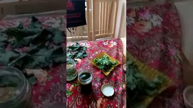 Сок чистотела смотреть онлайн