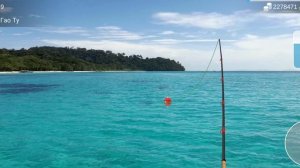 На что ловить рыбу Тунец в игре My Fishing World