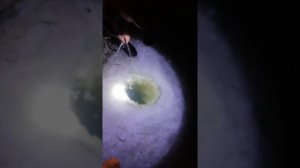 Ловля тайменя зимой.