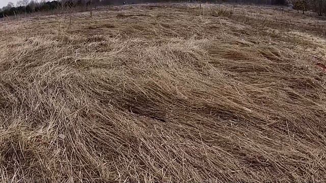 Копаем Сброс Металлолома и не Только!!!! смотреть онлайн