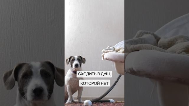 Первая неделя после рождения двойни смотреть онлайн