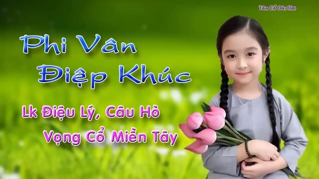 VỌNG CỔ MIỀN TÂY - Phi Vân Điệp Khúc || Tân Cổ Hơi Dài Miền Tây Cực Hay смотреть онлайн