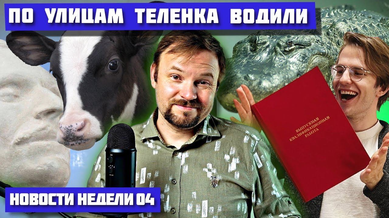 Диплом через бот | Золото Трои смотреть онлайн