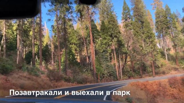 Yosemite park | мини-влог на телефон | Дорога, airbnb, стоимость, что посмотреть смотреть онлайн