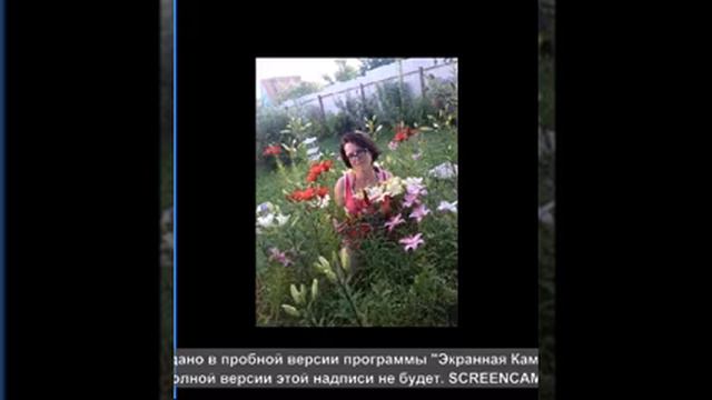 Семейный цветник смотреть онлайн