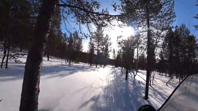 Турбо Скандик 900 АСЕ и Кроличьи лапки ) где купить в описании! смотреть онлайн