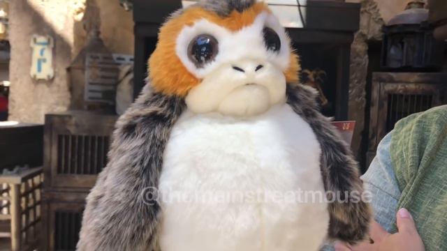 Adoptable Creatures At Star Wars: Galaxy’s Edge смотреть онлайн