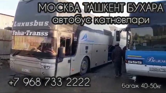 москва бухара автобус москва-ташкент автобус смотреть онлайн