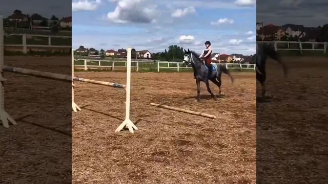 Гарсон видео смотреть онлайн