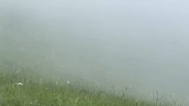 сегодня у видели серну смотреть онлайн