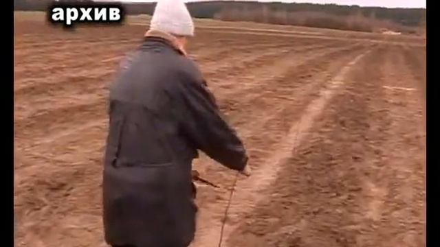 инф яблоневый сад смотреть онлайн