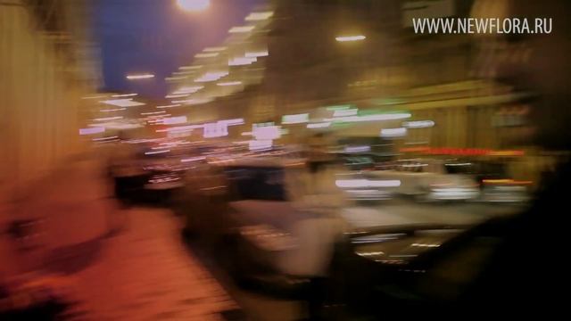 РАДУЖНЫЕ РОЗЫ (rainbowED roses\happy roses) - Newflora.ru смотреть онлайн