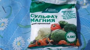 Реанимация роз после зимы. Экспериментируем.