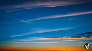 Shakira - Underneath Your Clothes (Lyrics)