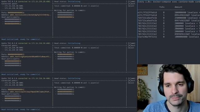 Hydra Head Demo with Sebastian Nagel смотреть онлайн