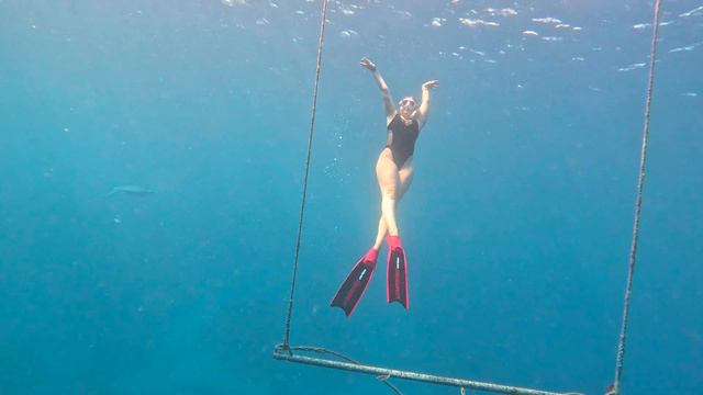 Underwater performance with a ladder for divers. Небеса под водой и качели, летящие вне гравитации. смотреть онлайн