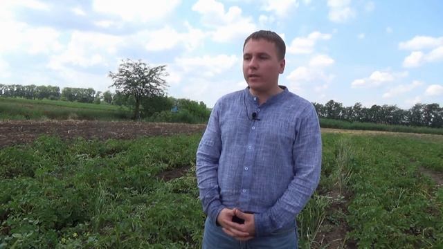 Применение микроудобрений «ЖУСС» на картофеле. «Ранний клубень России. Испытания морозом и градом» смотреть онлайн
