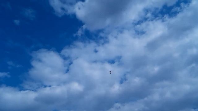 Модель самолета ЛК-850 / Новый мотор! / ALNADO смотреть онлайн
