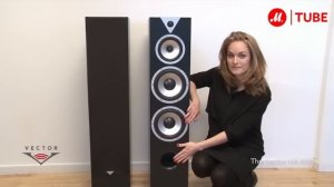 Напольные колонки Vector HX400