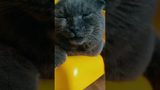 Про любовь.. смотреть онлайн