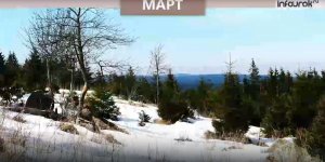 Времена года. Весна