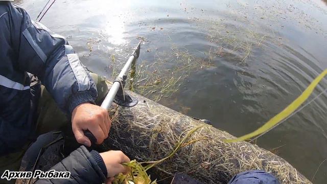 ▶ Огромный карась в щуке │ река Куланотпес │ Рыбалка на Щуку. смотреть онлайн