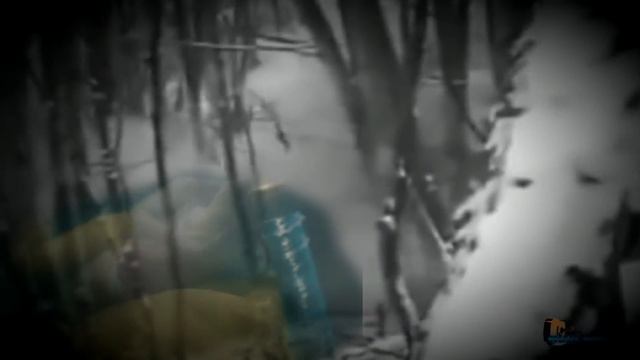 Солдатские песни Тебе бы в руки мой автомат ( в исполнении Ширяева Вадима) смотреть онлайн