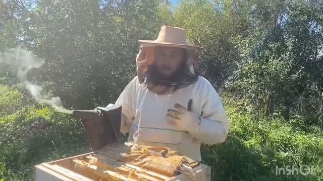 Много дыма смотреть онлайн