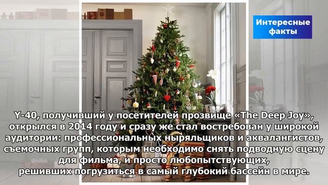 Почему на Новый год наряжают елку? | Интересные факты смотреть онлайн