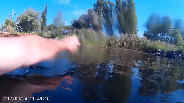 Запорожье.Рыба продолжает дохнуть .25.09.2017. смотреть онлайн