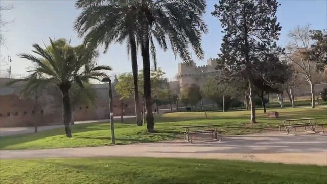 На велике по Туриийскому парку - под Чижа!