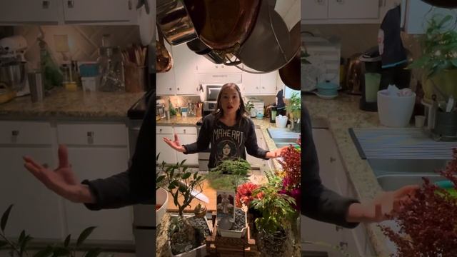 The Temperance Card, Moderation, and the Building Blocks in the Rubble⏳⚖️? смотреть онлайн