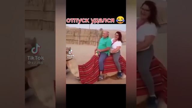 там будет большой пес🤔 смотреть онлайн